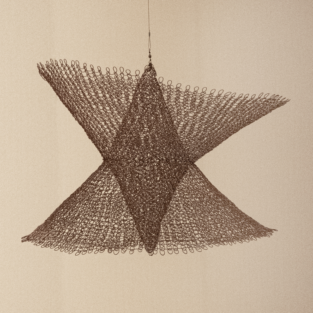 Artist Ruth Asawa, Venice Biennale